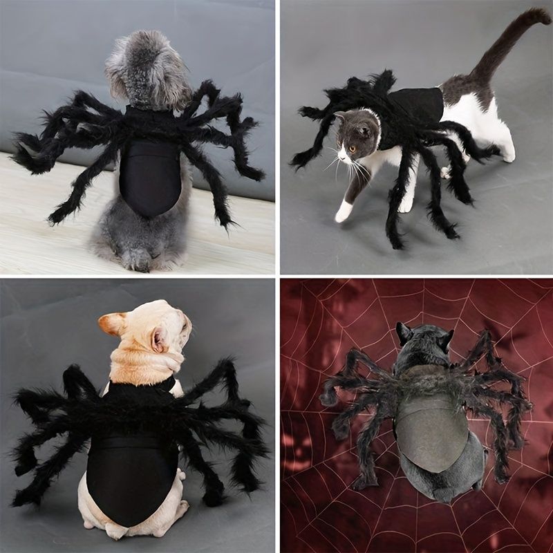 Pet Spider Clothing - Halloween
