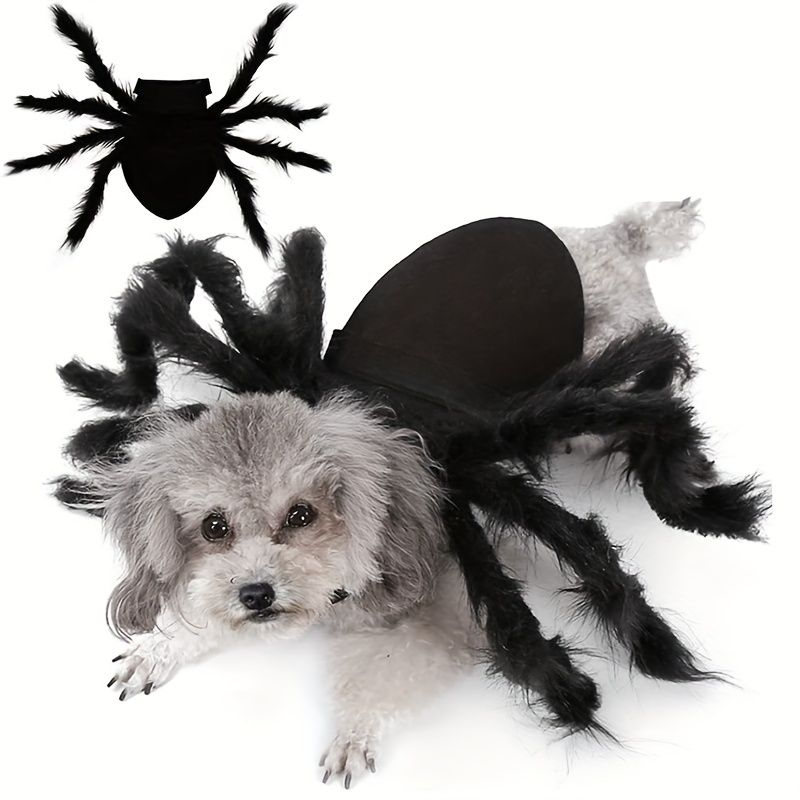 Pet Spider Clothing - Halloween