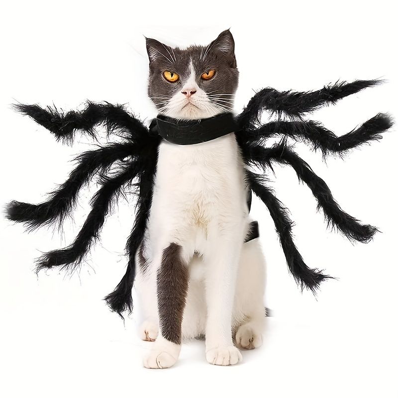 Pet Spider Clothing - Halloween